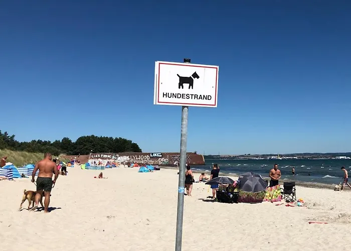 Strandapartment Meeresrauschen Prora Binz Eg