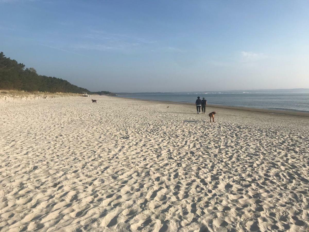 Strandapartment Meeresrauschen Prora Eg Binz
