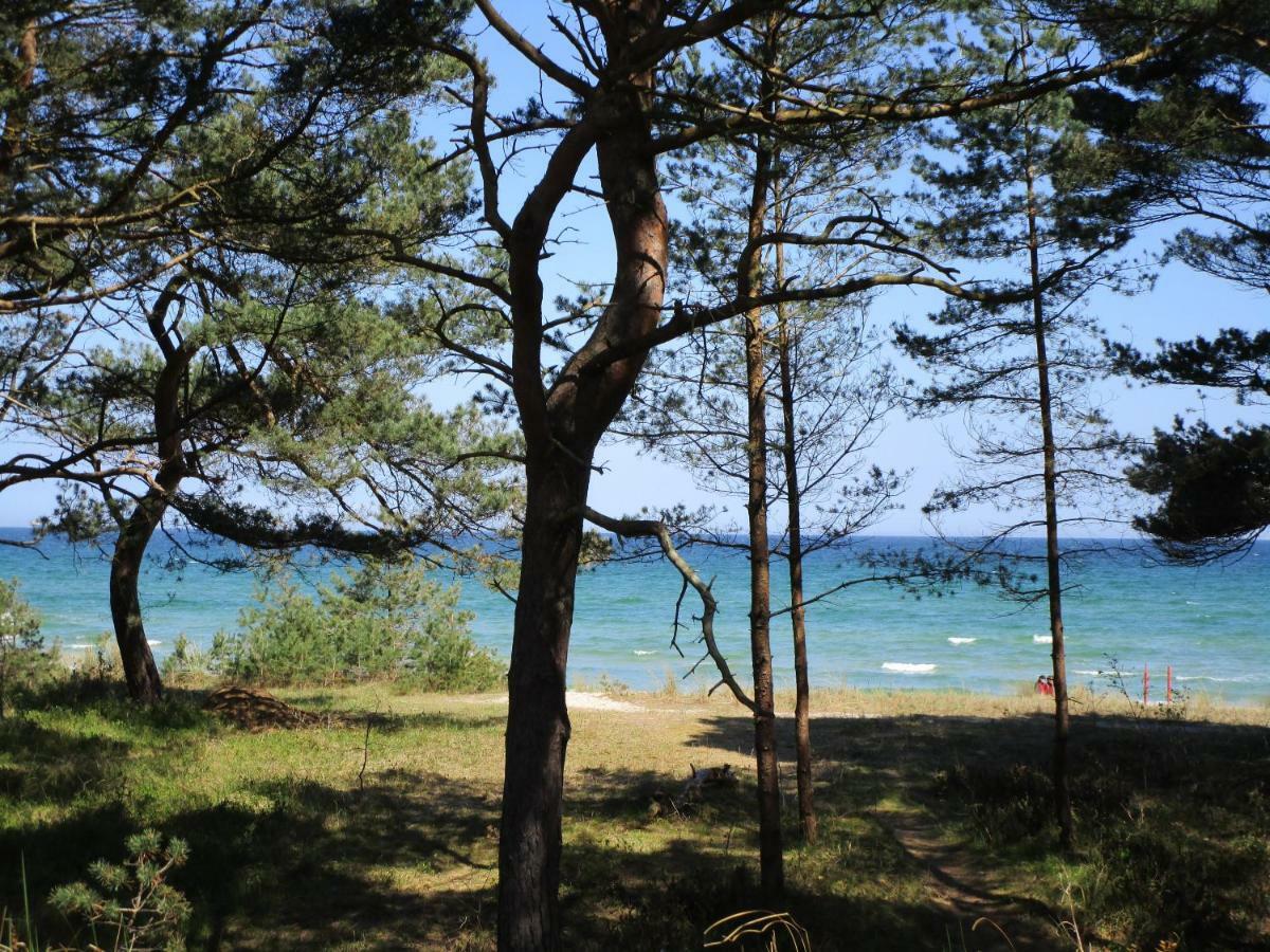 Strandapartment Meeresrauschen Prora Eg Binz